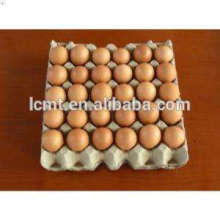 egg trays used automatic egg gathering system for sale